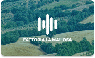 loquis vetrina parlante fattoria la maliosa