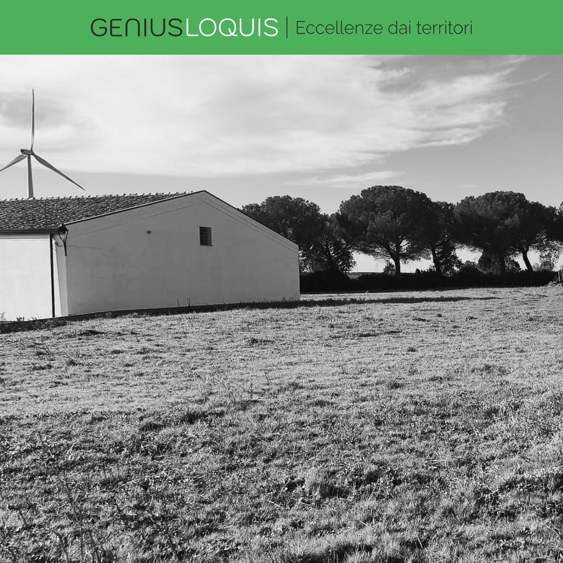Sorelle Pepe Winery, immagine del racconto pubblicato su Loquis